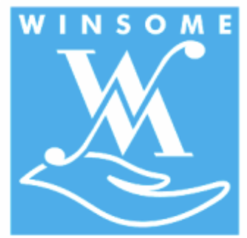 Winsome Medicare Pvt Ltd
